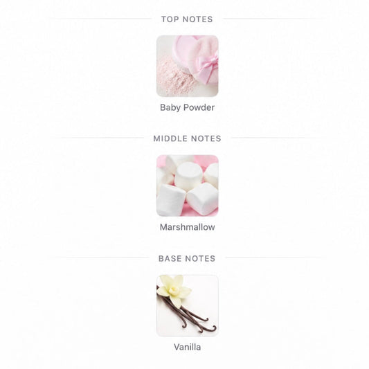 A fragrance notes diagram on a white background, showing top notes as baby powder, middle notes as marshmallows, and base notes as vanilla.